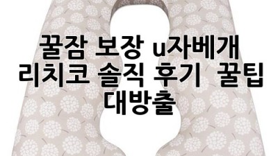 꿀잠 보장! u자베개 리치코 솔직 후기 & 꿀팁 대방출 😴