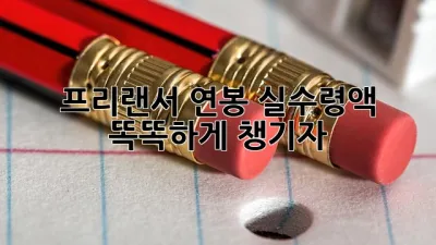 프리랜서💰 연봉 실수령액? 똑똑하게 챙기자!