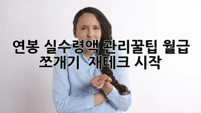 연봉 실수령액 관리꿀팁🍯 월급 쪼개기 & 재테크 시작!